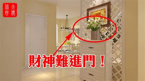 客廳龜背芋|家居風水佈局指南：龜背芋放哪裡？辦公室、客廳、玄關擺放位置。